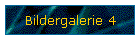 Bildergalerie 4