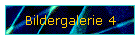 Bildergalerie 4